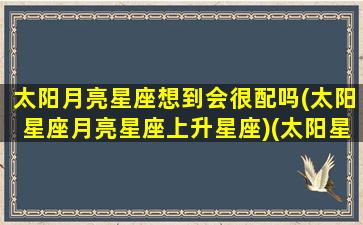 太阳月亮星座想到会很配吗(太阳星座月亮星座上升星座)(太阳星座 月亮)